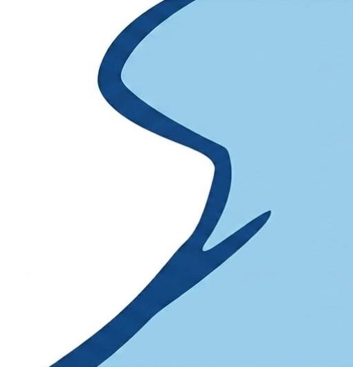 Stallions Dry Clean logo